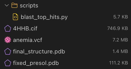 bioSTUDIO files panel showing workspace files