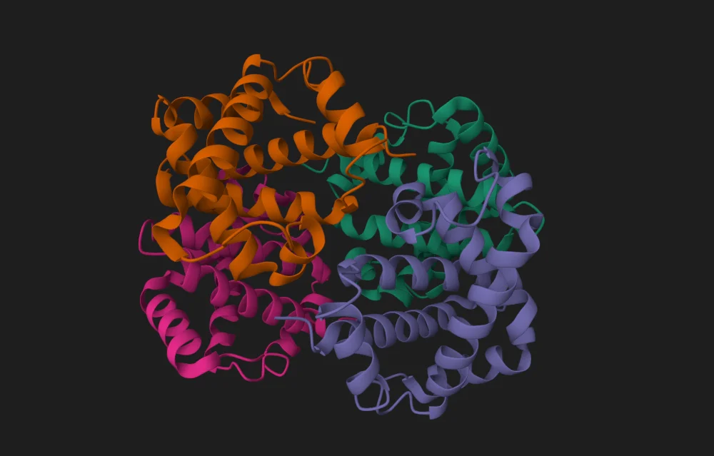 bioSTUDIO file viewer showing a bioinformatics file